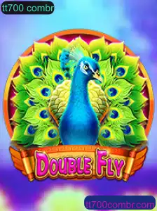 Explorando o Mundo de DoubleFly